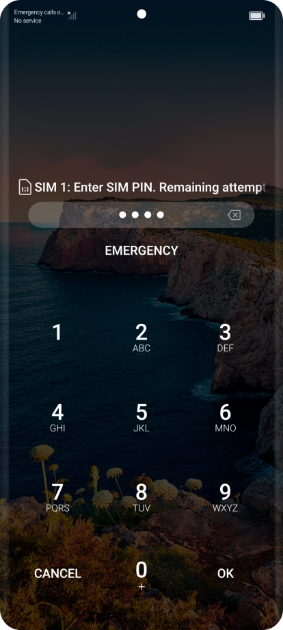 If you're asked to key in your PIN, do so and press OK.