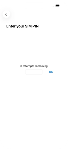 If your SIM is locked, key in your PIN and press OK.