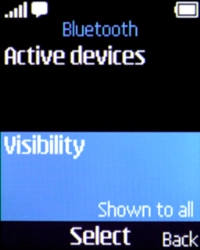 Select Visibility.
