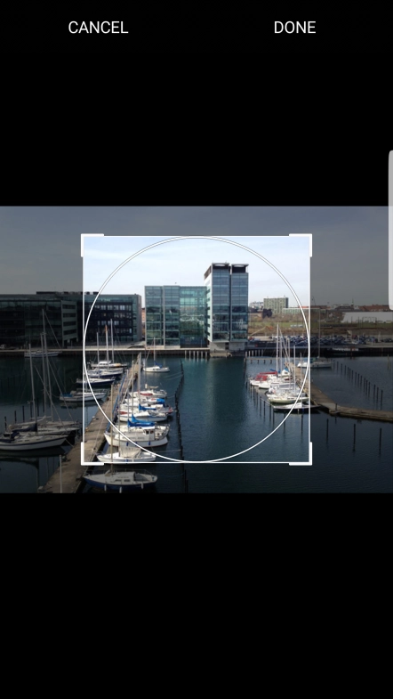 Drag the frame to the required position to select the required detail and press DONE.