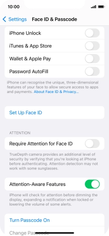 Press Turn Passcode On and key in a phone lock code of your own choice twice.