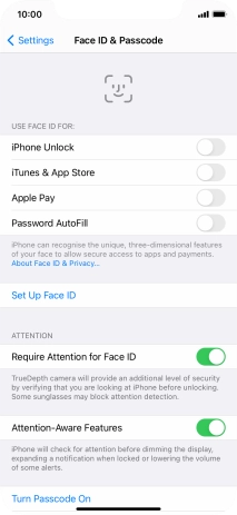 Press Turn Passcode On and key in a phone lock code of your own choice twice.