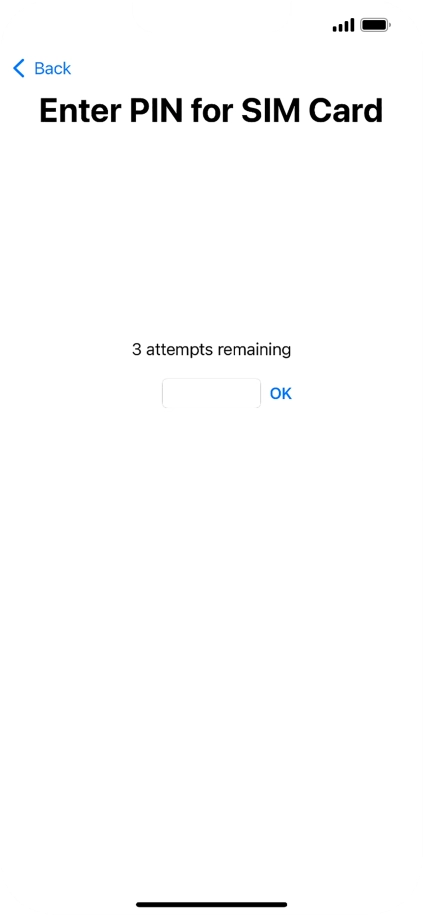 If your SIM is locked, key in your PIN and press OK.