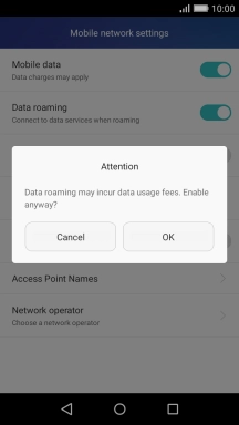 If you turn on data roaming, press OK.