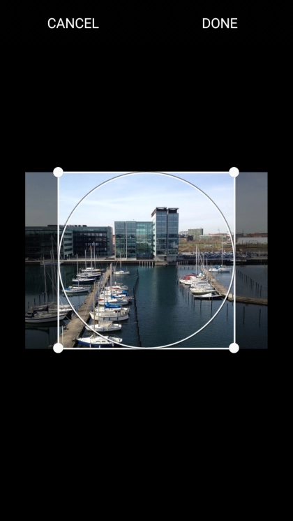 Drag the frame to the required position to select the required detail and press DONE.