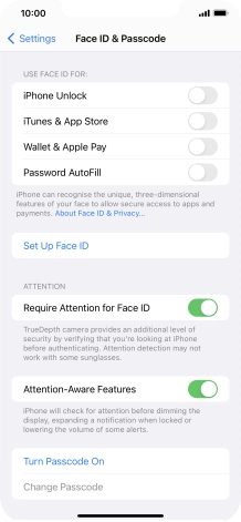 Press Turn Passcode On and key in a phone lock code of your own choice twice.