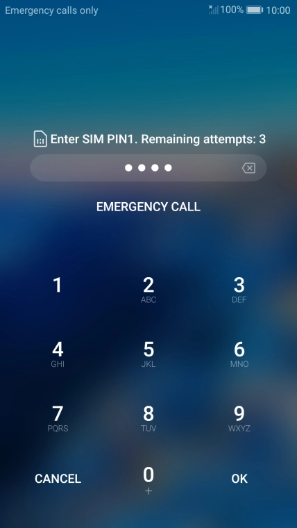 If you're asked to key in your PIN, do so and press OK.