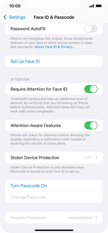 Press Turn Passcode On and key in a phone lock code of your own choice twice.