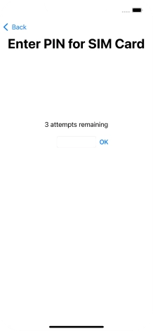If your SIM is locked, key in your PIN and press OK.