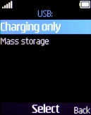 Select Mass storage.