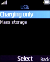 Select Mass storage.