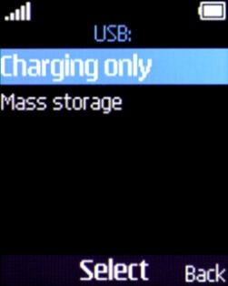 Select Mass storage.