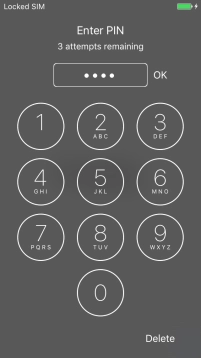 Key in your PIN and press OK.