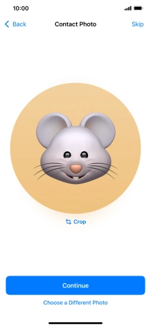 Follow the instructions on the screen to customise the selected picture and press Continue.