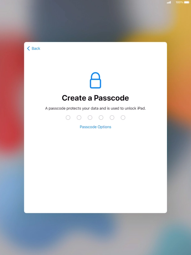 Press Passcode Options.