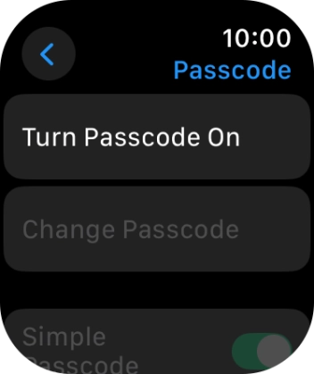 Press Turn Passcode On and key in a lock code of your own choice twice.