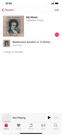 Go to the required category or playlist and press the required audio file.