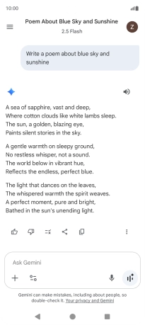 You can ask Gemini to generate a text based on your description.