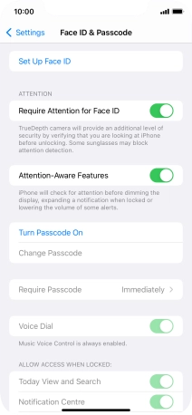 Press Turn Passcode On and key in a phone lock code of your own choice twice.