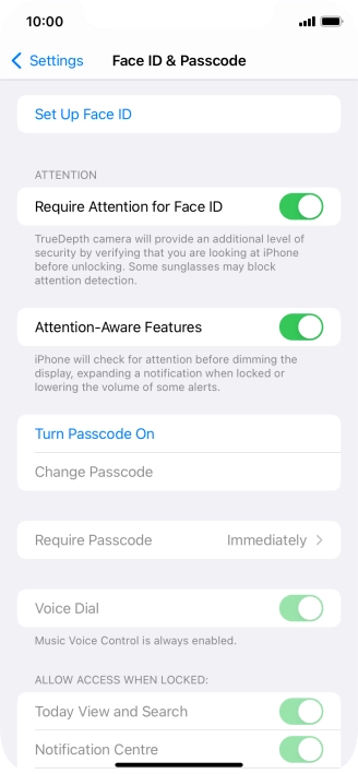 Press Turn Passcode On and key in a phone lock code of your own choice twice.