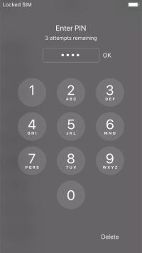 Key in your PIN and press OK.
