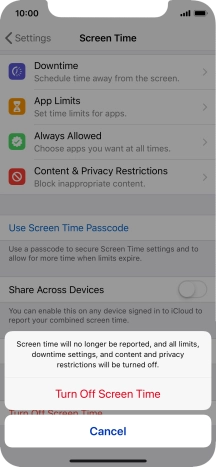 Press Turn Off Screen Time.