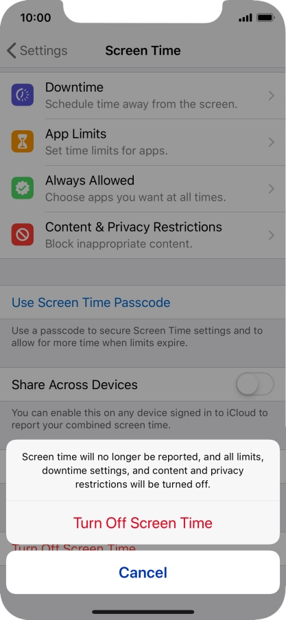 Press Turn Off Screen Time.