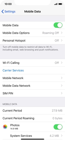 Press Mobile Data Options.
