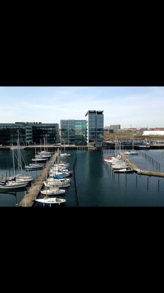 Press anywhere on the screen.