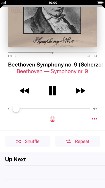 Press Shuffle to turn the function on or off.