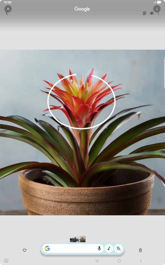 Draw a circle around the required object on the picture and wait for the search results.