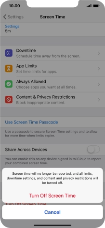 Press Turn Off Screen Time.