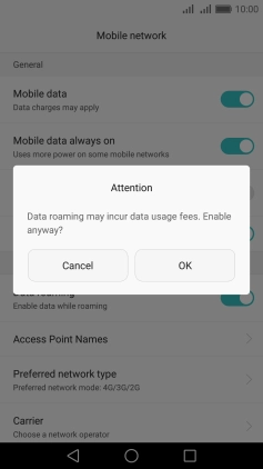If you turn on data roaming, press OK.
