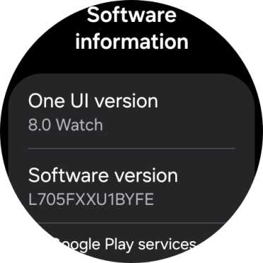 The software version of your smartwatch is displayed below Software version.