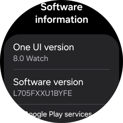 The software version of your smartwatch is displayed below Software version.
