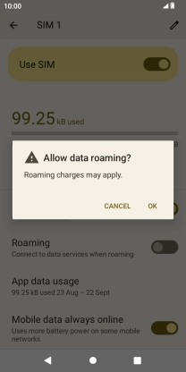 If you turn on data roaming, press OK.