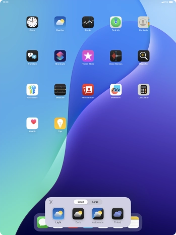 Press the required setting to select the size of app icons on the home screen.