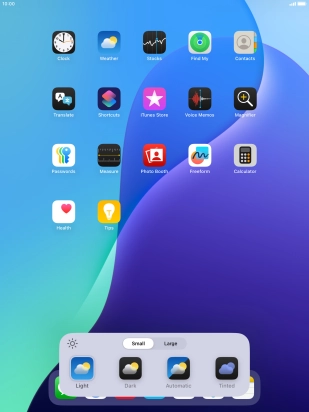 Press the required setting to select the size of app icons on the home screen.