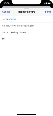 Press and hold the text input field until a pop-up menu is displayed.