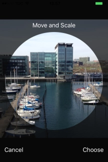 Drag the frame to the required position to select the required detail and press Choose.