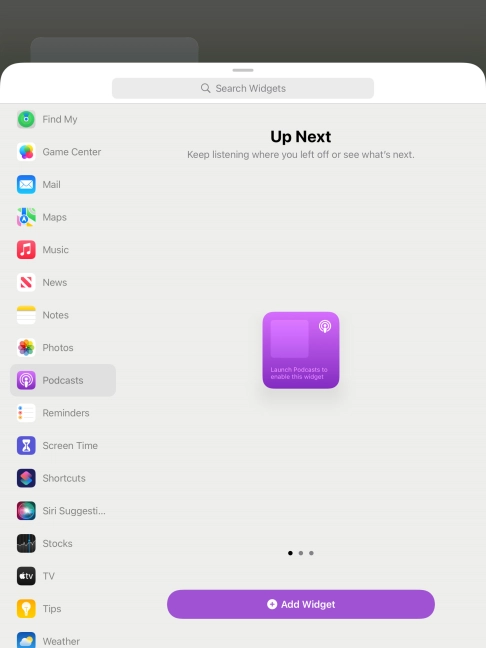 Slide your finger right or left on the screen to select the required widget size.