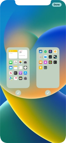 Press the fields below the required home screens to select or deselect them.