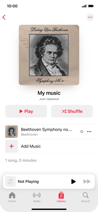 Go to the required category or playlist and press the required audio file.