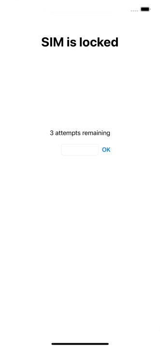 If your SIM is locked, key in your PIN and press OK.