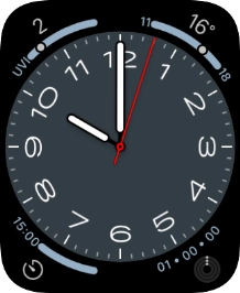 Press and hold the Digital Crown to turn on Siri.