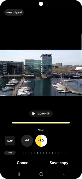 Press Mute to completely remove the selected audio type from the video.