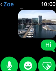 Press the microphone icon and follow the instructions on the screen to record and send the message.