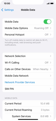 Press Mobile Data Options.