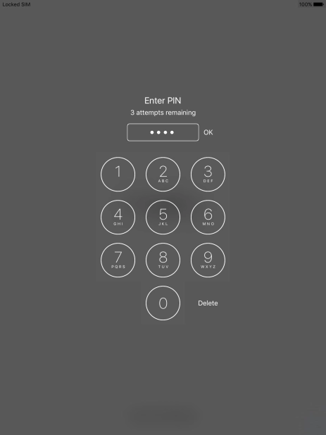 Key in your PIN and press OK.