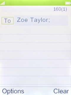 Highlight the text input field and key in the required text.